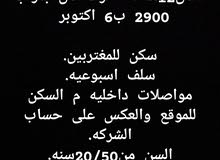 مطلوب عدد محدوووود للعمل12ساعه أفراد أمن بمرتب 2900 ب6 اكتوبر
سك مطلوب عدد محدوووود للعمل12ساعه أفراد أمن بمرتب 2900 ب6 اكتوبر
سك