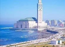 ابحث عن عمل ابحث عن عمل