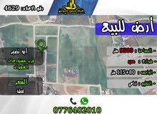 رقم الاعلان (4629) ارض زراعية للبيع في منطقة ابو نصير