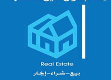 ابحث عن شقة في المنصورة او شارع النصر ابحث عن شقة في المنصورة او شارع النصر