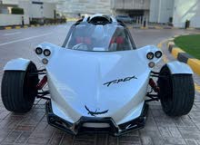 T-rex 1400R campagna - full carpon - T-rex 1400R campagna - full carpon -