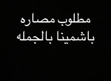 مطلوب مصاره باشمينا بالجمله مطلوب مصاره باشمينا بالجمله