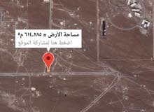 ارض سكنية في محافظة البريمي ارض سكنية في محافظة البريمي