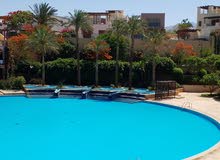 1 Bedroom Chalet for Rent in Aqaba Ayla