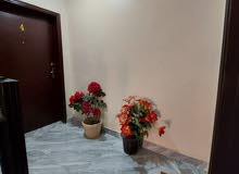 شقه 3غرف سلوى ق8 شقه 3غرف سلوى ق8