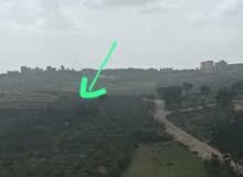 Mixed Use Land for Sale in Nablus Asira Ash-Shamaliya
