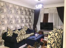للايجار شقه مفروشه في جامعه الدول بالمهندسين للايجار شقه مفروشه في جامعه الدول بالمهندسين