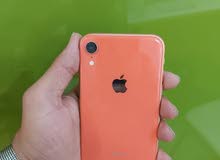 Apple iPhone XR 128 GB in Misrata