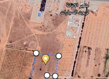 ارض 5000 متر في قصر بن غشير طريق المنارة