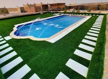 مسابح فايبر جلاس لأول مرة في الإمارات مسابح فايبر جلاس لأول مرة في الإمارات