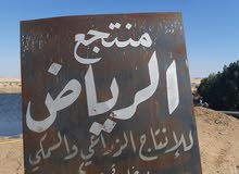 مزراع الواحة الخليجية مزراع الواحة الخليجية