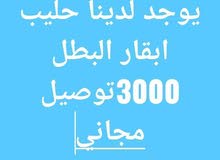 يوجد حليب بقره ما مقشوش بذمه يوجد حليب بقره ما مقشوش بذمه