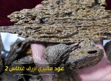 العود الازرق الماليزي الطبيعي غطاس 2 فاجر جدااااااا العود الازرق الماليزي الطبيعي غطاس 2 فاجر جدااااااا