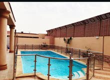 استراحة الزمردة استراحة الزمردة