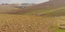 جريبا قرب شفابدران تقسيط نصف الثمن