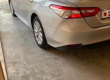 camry 2019 camry 2019