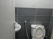 للايجار شقق بالمنقف. apartment for rent in manqaf للايجار شقق بالمنقف. apartment for rent in manqaf