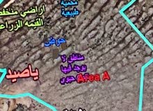 Mixed Use Land for Sale in Nablus Yasid