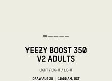 Adidas Yeezy 350 v2 Light