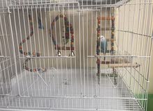 cage with buggy cage with buggy