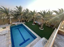 شاليه ومزارع حمدان الفاخرة للايجار ( افخم واجدد مزارع البحر الميت ) غير مدفأ المسبح