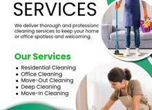 Professional Cleaning Service {Hourly, Weekly and Monthly}