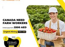 FRUIT PACKERS, WAREHOUSE WORKERS, MACHINE OPERATORS NEEDED IN CANADA AND POLAND URGENTLY!