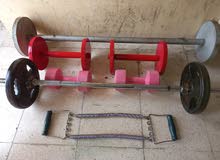 barbell and dumbbell barbell and dumbbell