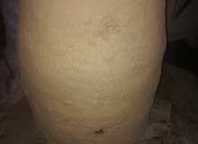تنور طين للبيع واتساب 07702647716 تنور طين للبيع واتساب 07702647716