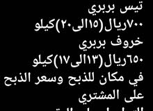غنم للاضاحي السعر قابل للتفاوض غنم للاضاحي السعر قابل للتفاوض