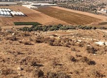Farm Land for Sale in Jenin Meithalun