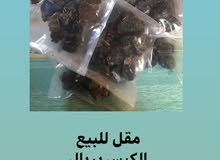 مقل للبيع مقل للبيع