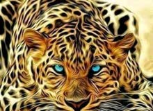السلم وعليكم متاح مينه العمر 3سنوان اليفه مفوله والعوبه السلم وعليكم متاح مينه العمر 3سنوان اليفه مفوله والعوبه