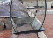 قفص مستعمل cage parrot