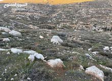 Residential Land for Sale in Bethlehem Khalayl Al-Lawz