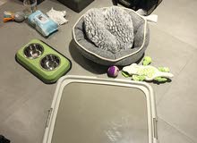 Dog supplies slightly used for one day and some and not used at all breaks new Dog supplies slightly used for one day and some and not used at all breaks new