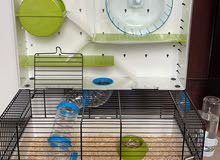 قفص هامستر جديد مع هامتسر مجانا new hamster cage for sale with a free hamster قفص هامستر جديد مع هامتسر مجانا new hamster cage for sale with a free hamster