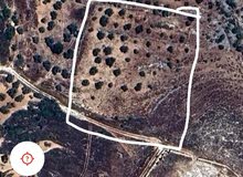 Mixed Use Land for Sale in Nablus Yasid