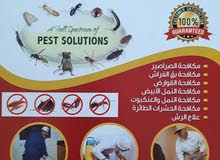 Pest control services in Bahrain by White Dragon Trading and Pest Control