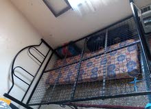 كل شي على 50 دينار كل شي على 50 دينار