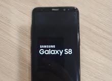 Samsung Galaxy S8 64 GB in Amman