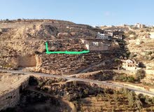 Mixed Use Land for Sale in Hebron Tapuah