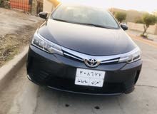 كورلا خليجي 19 للبيع كورلا خليجي 19 للبيع
