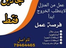 شركة دي اكس ان شركة دي اكس ان