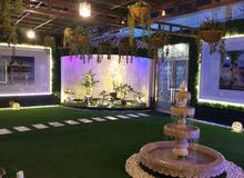 عشب جداري عشب أرضى صناعي مظلات طبيعي عشب جداري عشب أرضى صناعي مظلات طبيعي