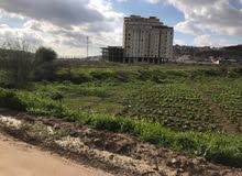 بيع ارض بطنجة بيع ارض بطنجة
