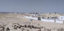 Camp for Rent كامب جاهز مع عدد 13 كرفان في مخطط 54 Camp for Rent كامب جاهز مع عدد 13 كرفان في مخطط 54