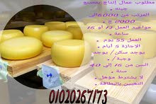 فرصة توظيف عمال إنتاج فى مصانع الجبنه فرصة توظيف عمال إنتاج فى مصانع الجبنه