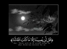 مطلوب شقه للايجار مطلوب شقه للايجار