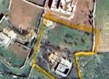 Mixed Use Land for Sale in Hebron AlShaeaba